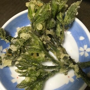 春の味わい★山うどの天ぷら